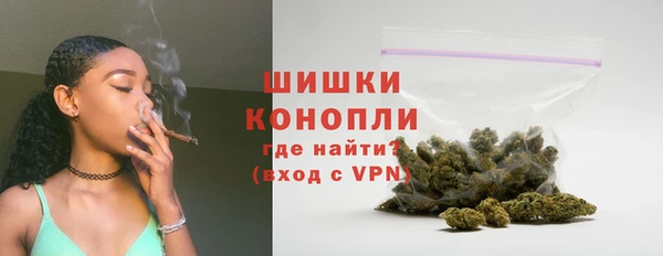 Альфа ПВП Пересвет