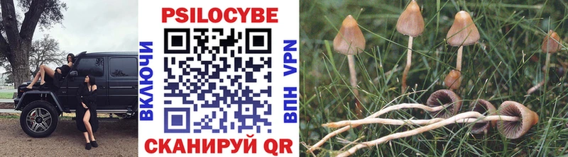 Псилоцибиновые грибы ЛСД Новая Ладога